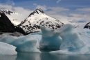 Traffic Jam of Icebergs